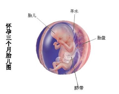 关系到宝妈和宝宝的健康，孕妇用药一定要注意这些