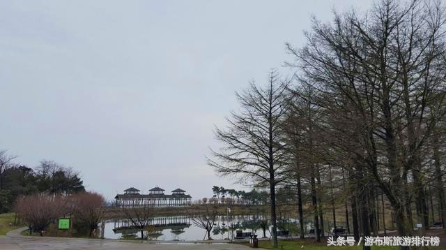 景点美景打卡宁波,宁波十大免费旅游景点四明山