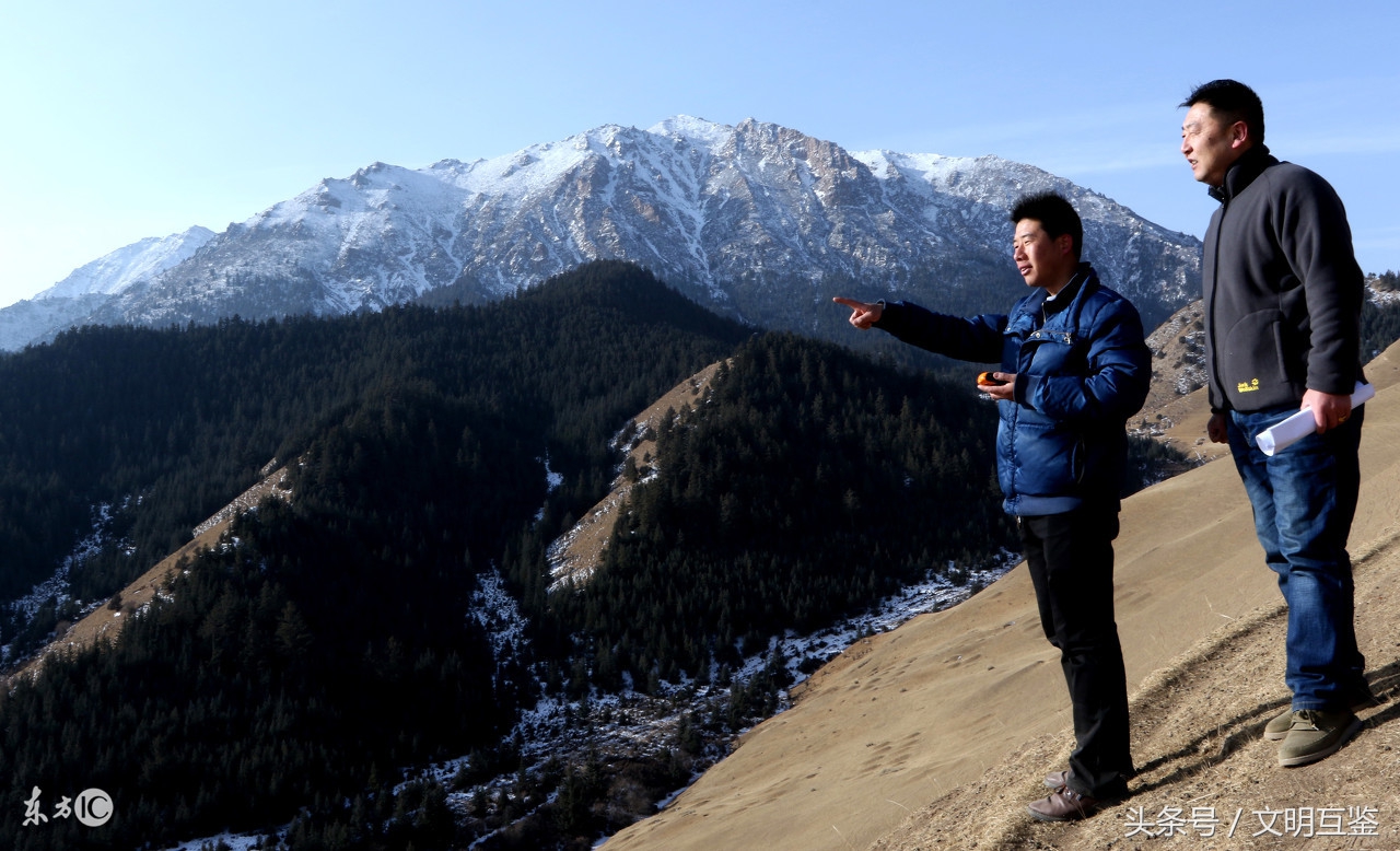 夜光杯价格多少钱一个,夜光杯底料
