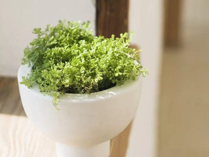 深水爆破的小说,小说谍战深海第三部