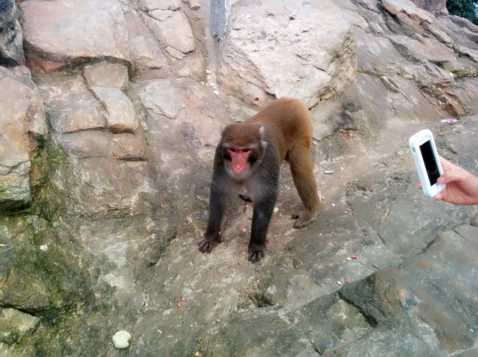 花果山游记400字以上,连云港花果山攻略