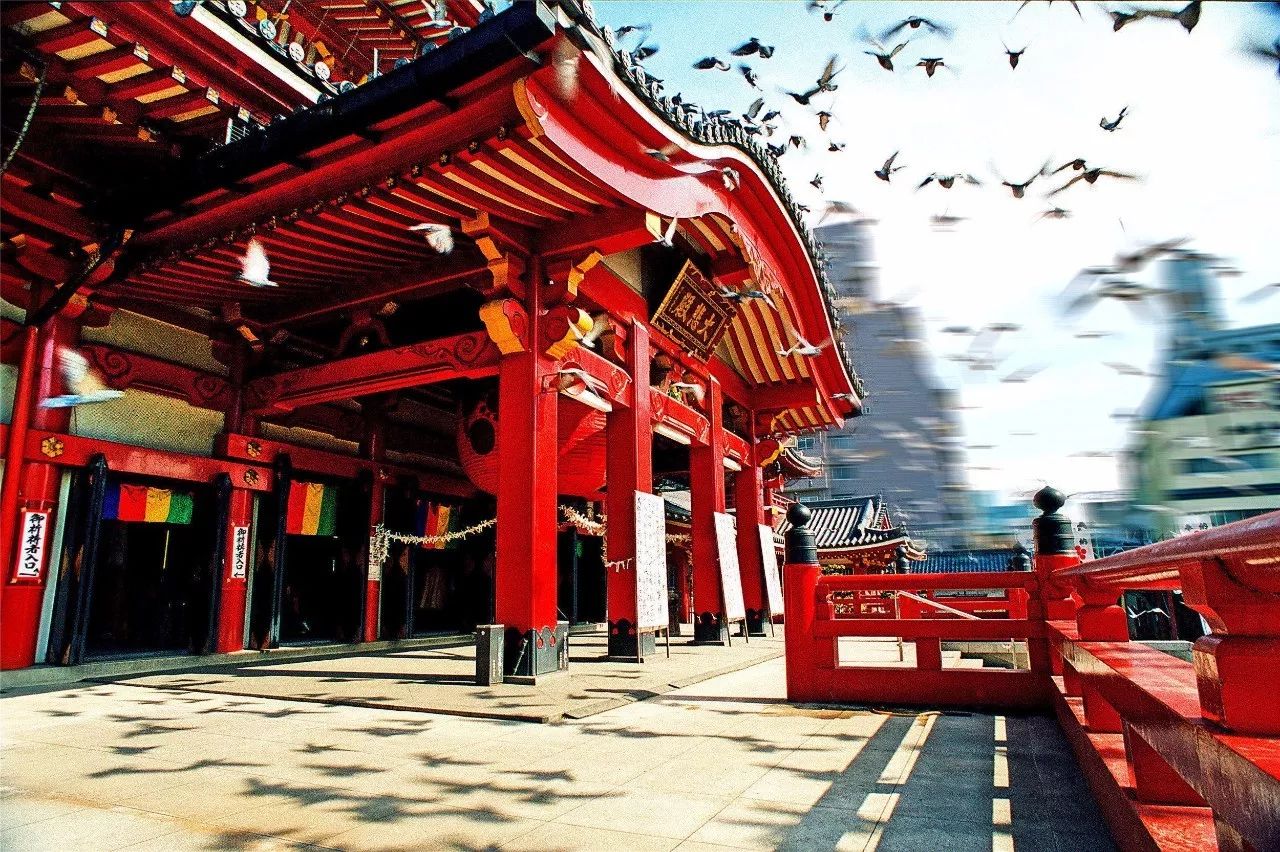 全家出游哪种旅行方式最合适,全家游怎么样游好