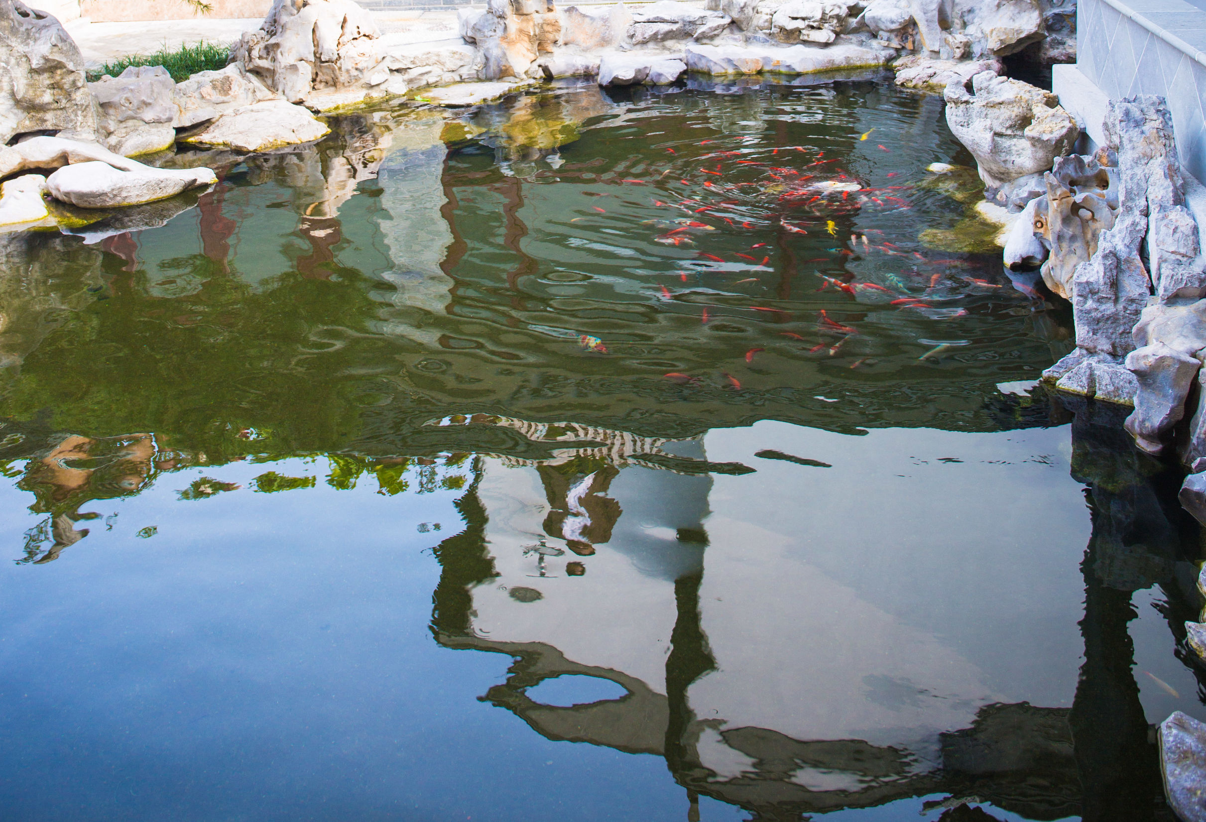 住一晚湖景民宿,住一晚民宿环境优美