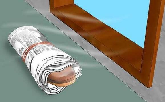 下雨鞋子湿了怎么办小技巧,鞋子淋到雨怎么快速干