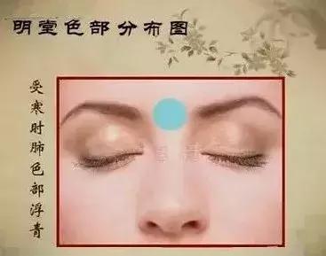 面诊鼻头发黑,中医面诊之鼻