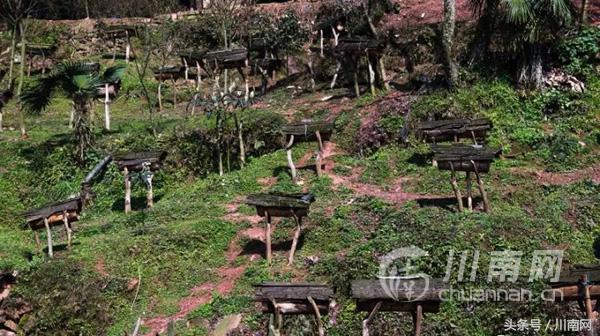 大美叙永系列之白腊苗族乡：中国传统村落，苗趣多多！