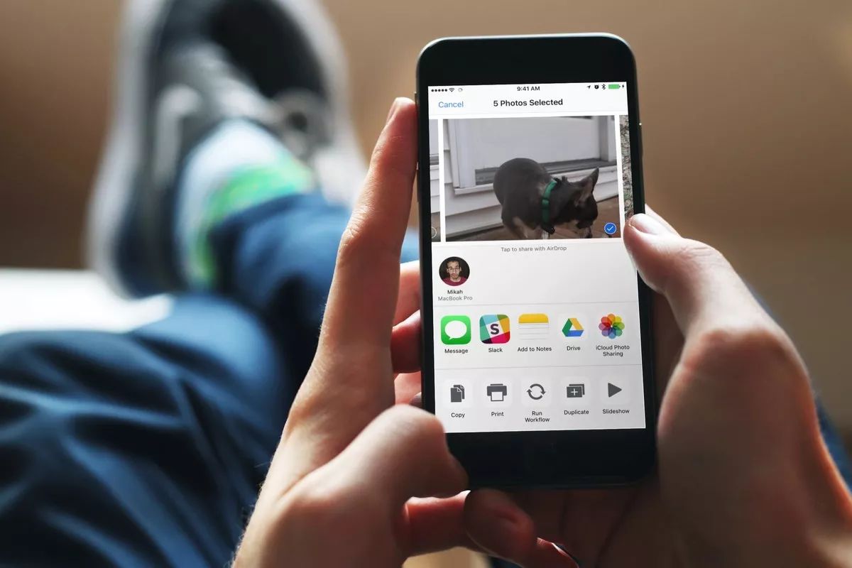 佳能和尼康的爱恨情仇,尼康和佳能现在的现状