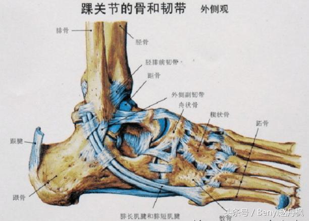 脚踝受伤半年后如何康复训练,脚踝伤病的六个问题