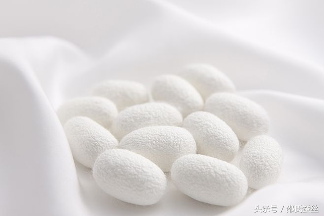 怎样验证蚕丝被是真的,真的蚕丝被怎么验证