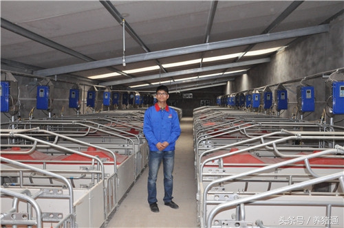 猪舍潮湿对猪有什么影响,猪舍潮湿最好的解决方法