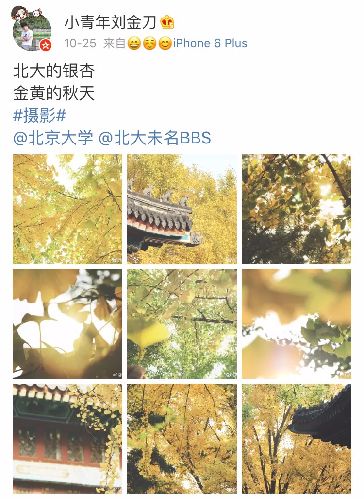 京城赏秋打卡胜地,京城赏荷最佳路线图