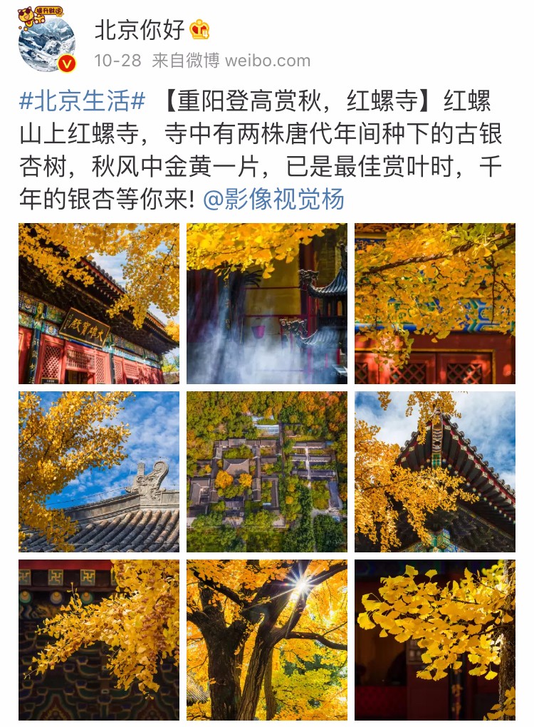 京城赏秋打卡胜地,京城赏荷最佳路线图