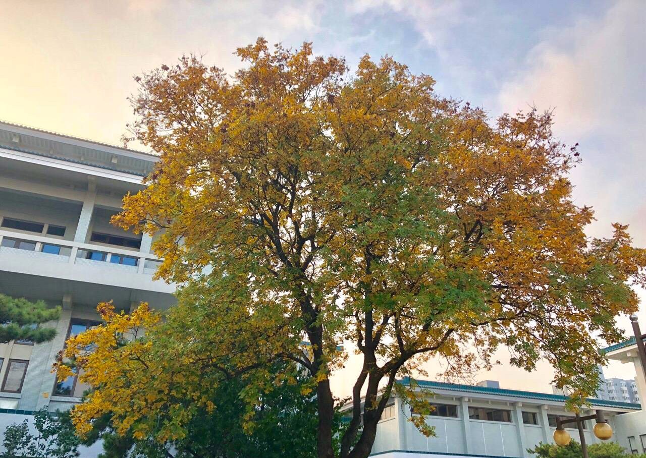 京城赏秋打卡胜地,京城赏荷最佳路线图