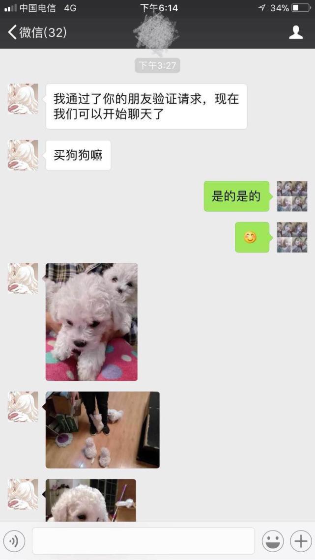 网上买狗上当了怎么办,在网上买狗狗的骗局