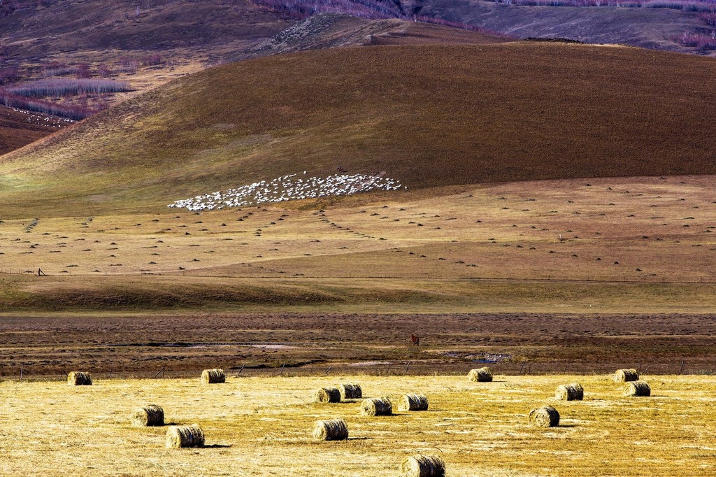 晚秋的草原美景,呼伦贝尔草原晚秋美景