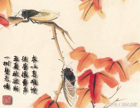 描写动物的古诗十首,十首关于动物的古诗