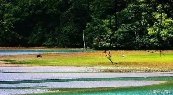 为何不要随便去雅安？