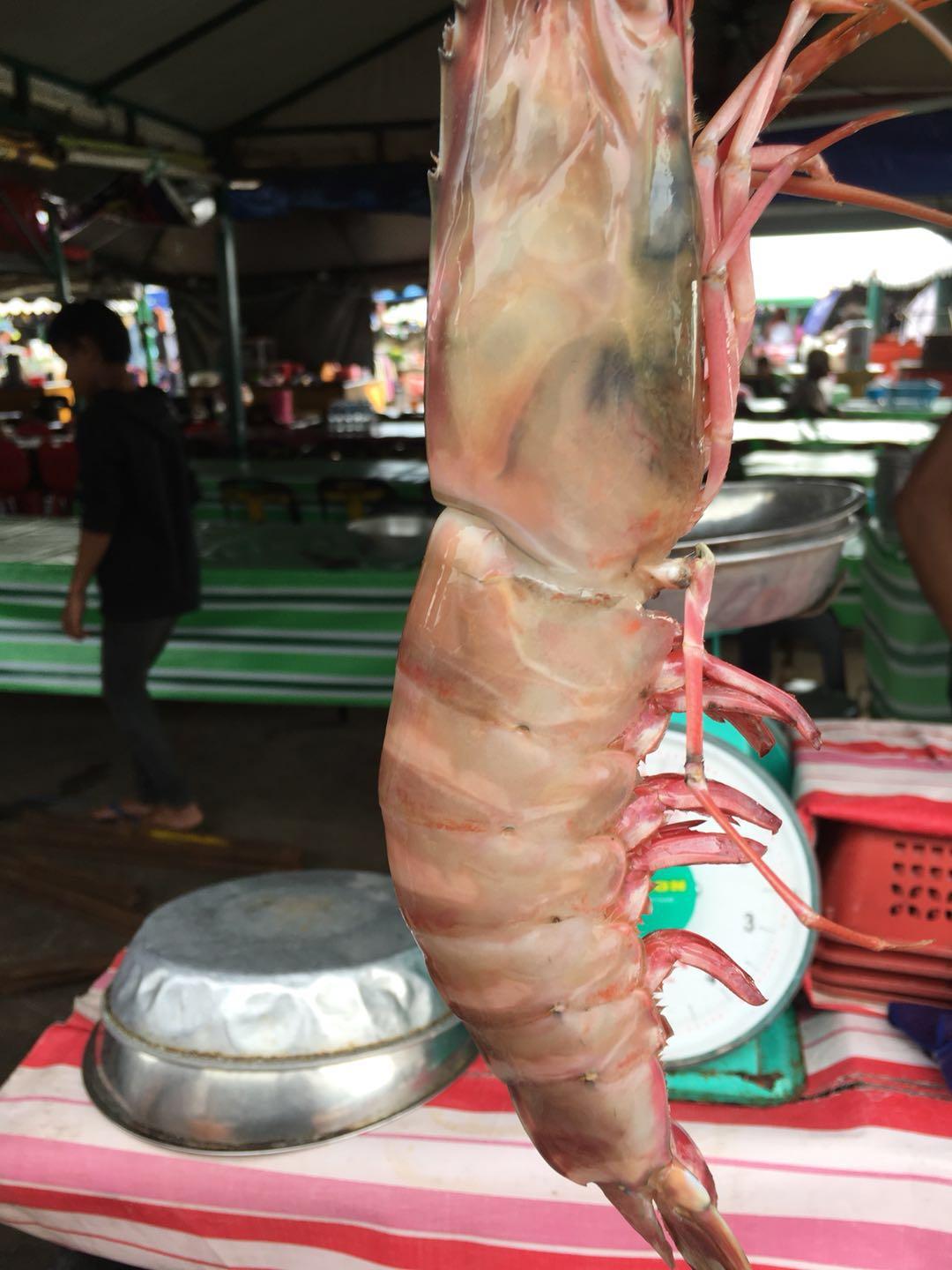 马来西亚姑娘游沙巴,去马来西亚旅游的女生