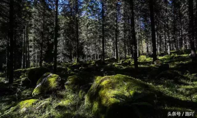 为何不要随便去雅安？