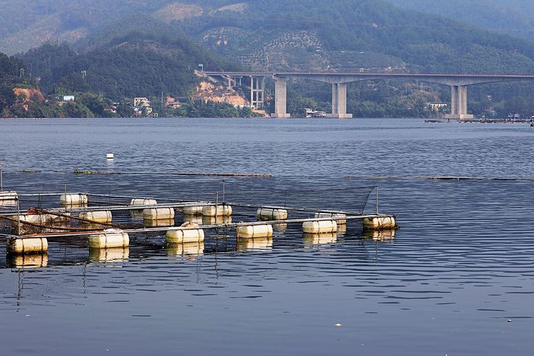 闽中明珠尤溪，八山一水一分田