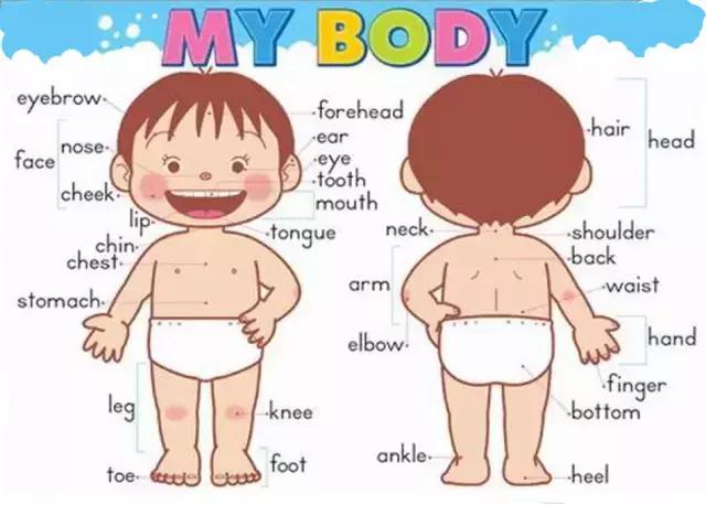 0-3岁早教英文童谣,最适合低幼宝宝听的13首英文童谣