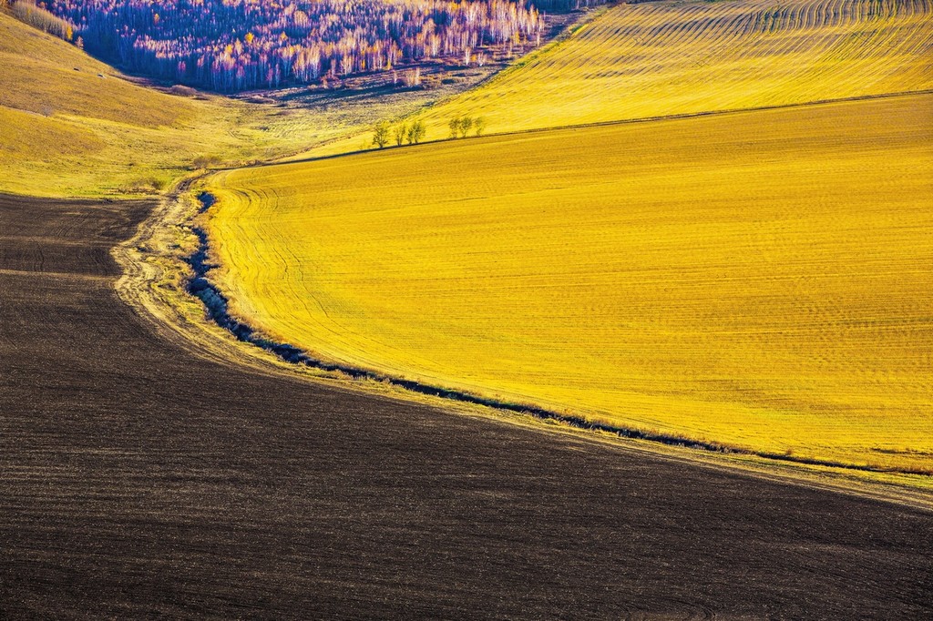 晚秋的草原美景,呼伦贝尔草原晚秋美景
