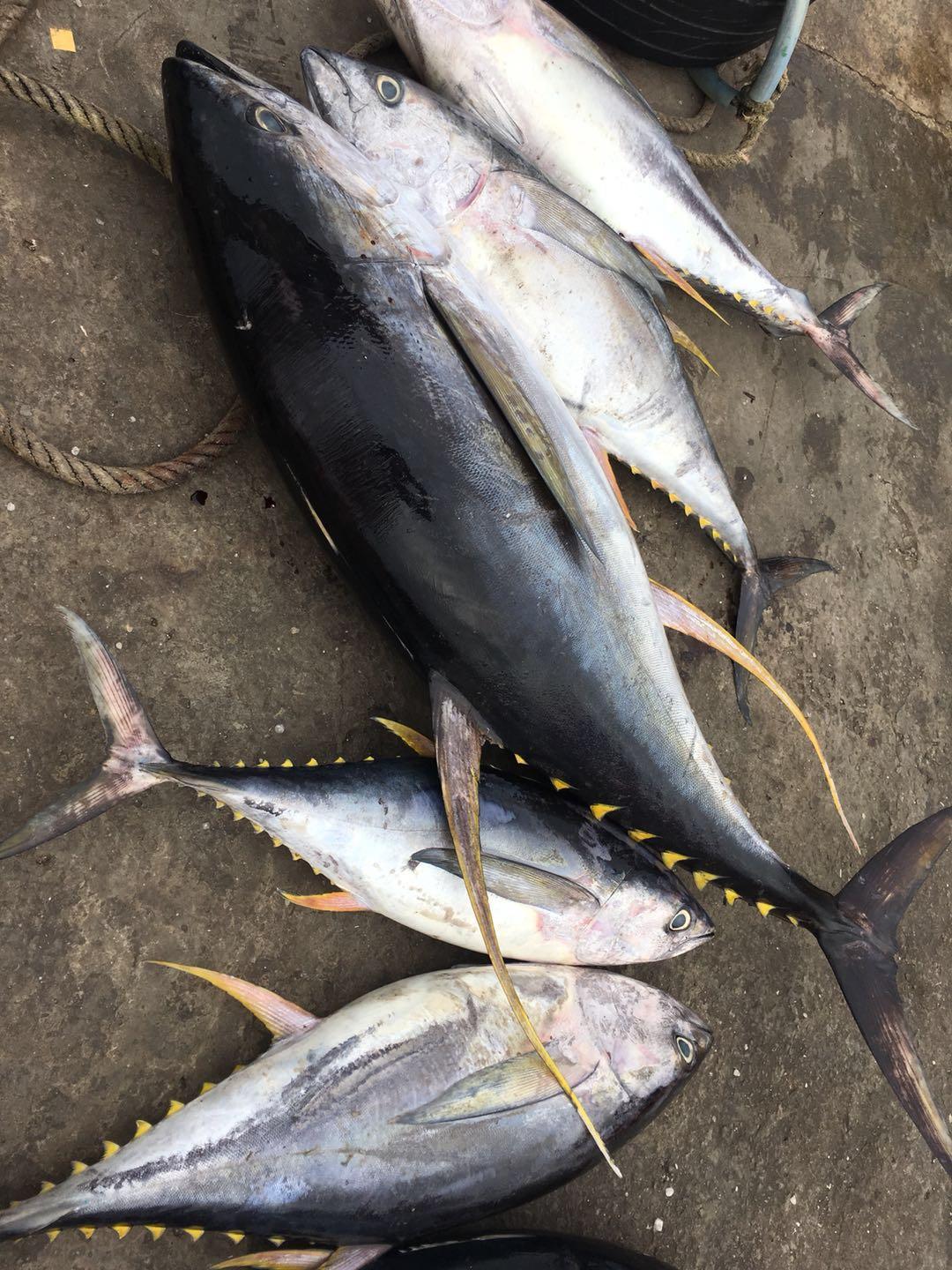 马来西亚姑娘游沙巴,去马来西亚旅游的女生