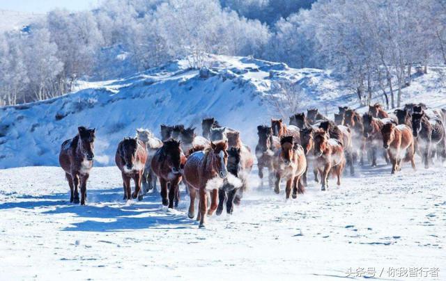 如何在暴风雪中生存,下雪天挡雪的方法