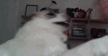 姑娘也是心大，用来洗下面的东西也要喝