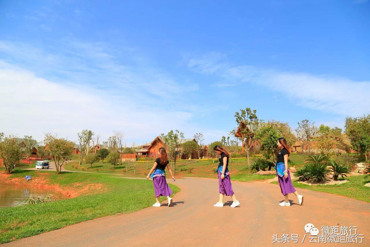 春节免费开放弥勒太平湖森林公园,弥勒太平湖森林公园6月去有花吗