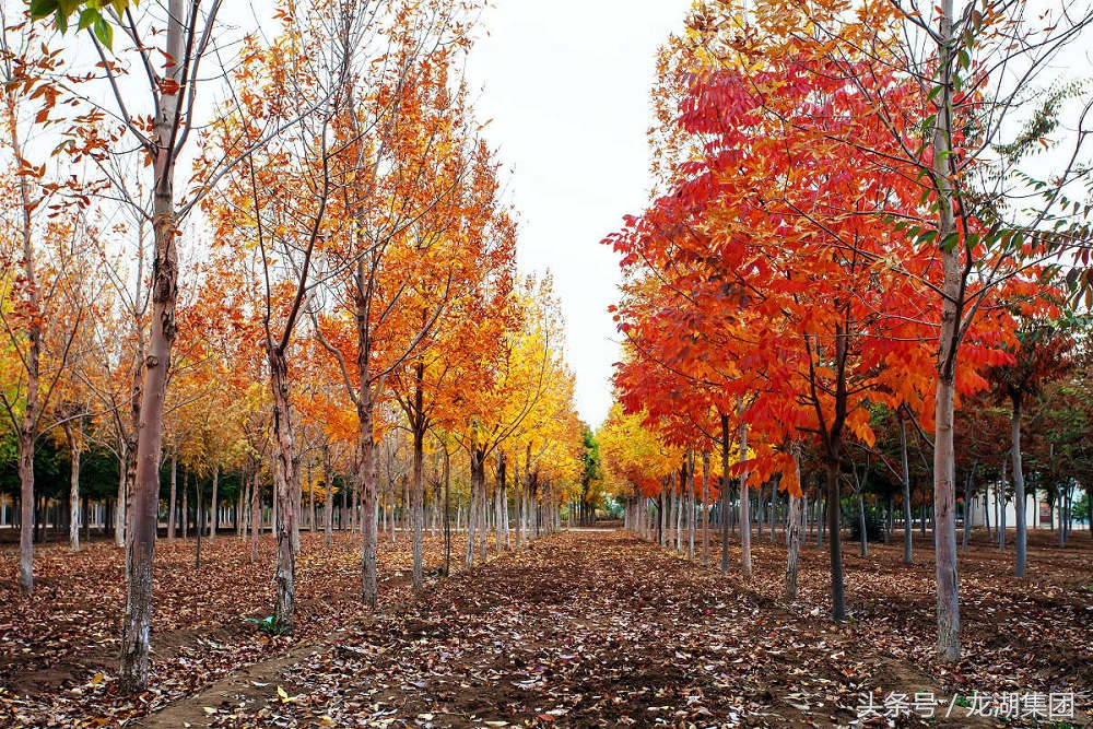 大连安静的风景区有哪些,大连治愈系胜地