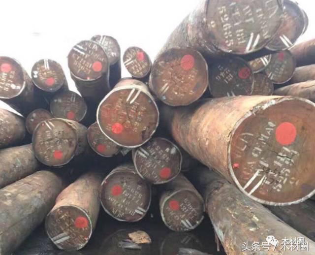 国内木材行业为什么如此低迷,国内木材市场各品类木材价格一览