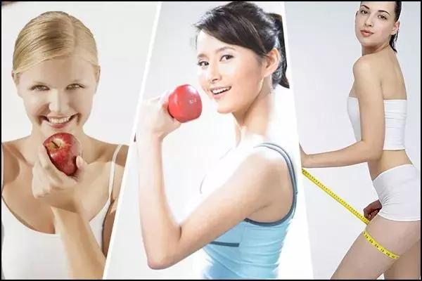 为什么酵素能瘦,酵素与酶有什么关系