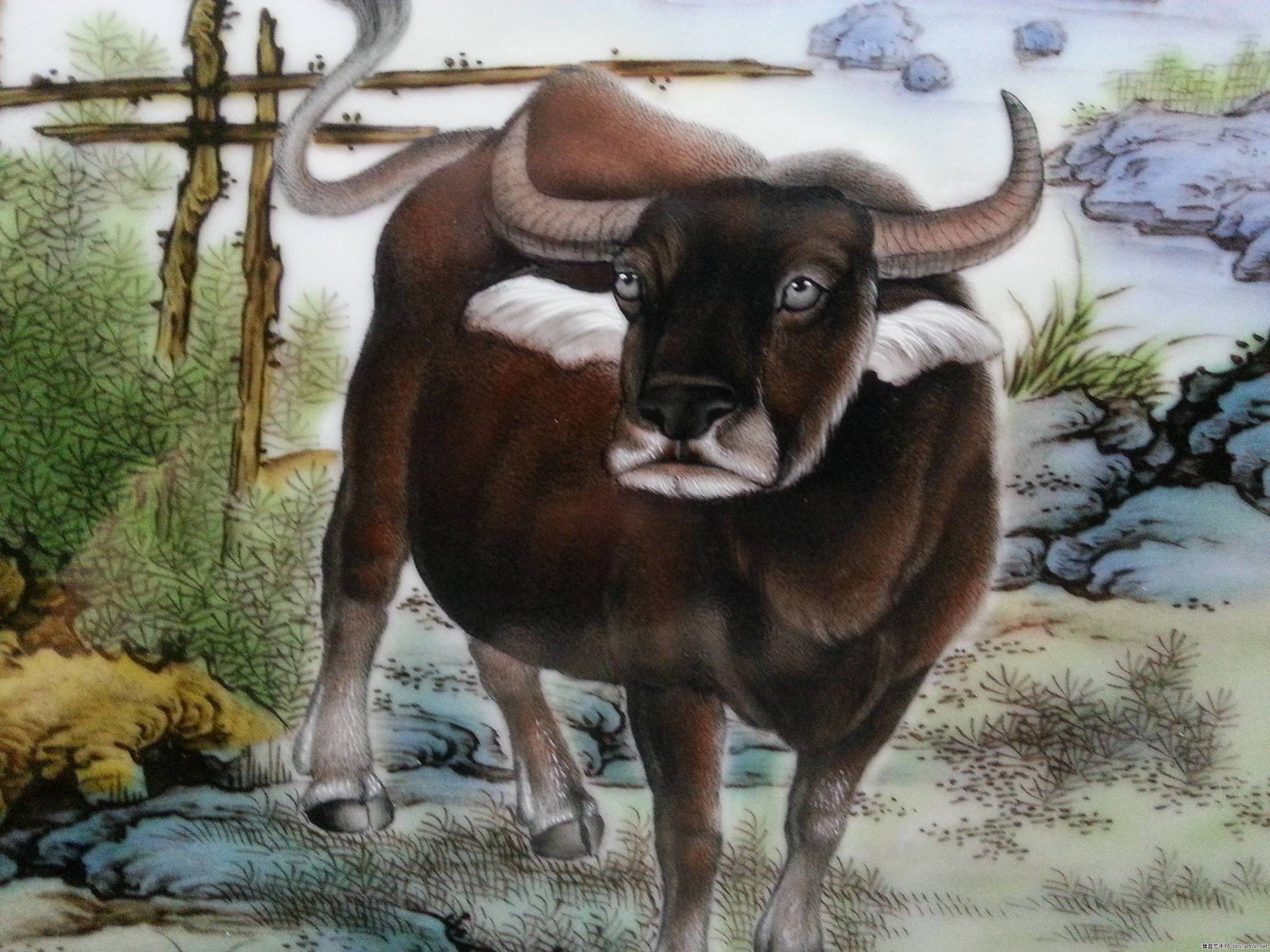 十二生肖各缺一个器官图解,十二生肖各缺一样东西