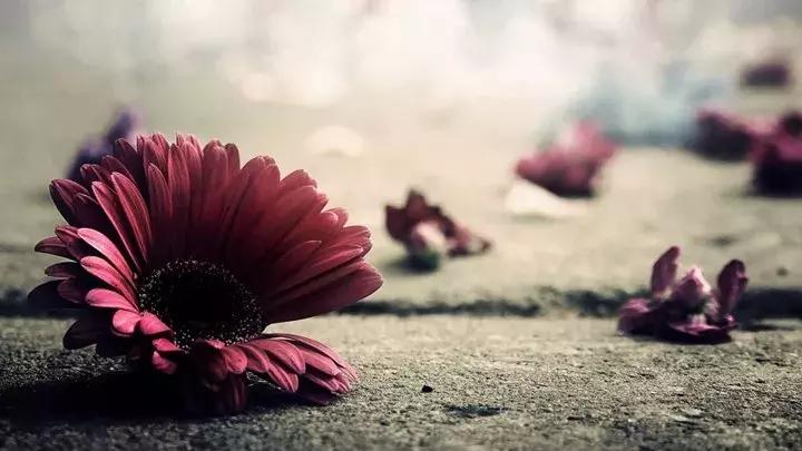 小说谍战深海第三部,小说深水鱼雷