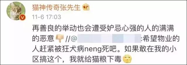 小区物业为流浪猫安了家,物业为流浪猫投放太阳能