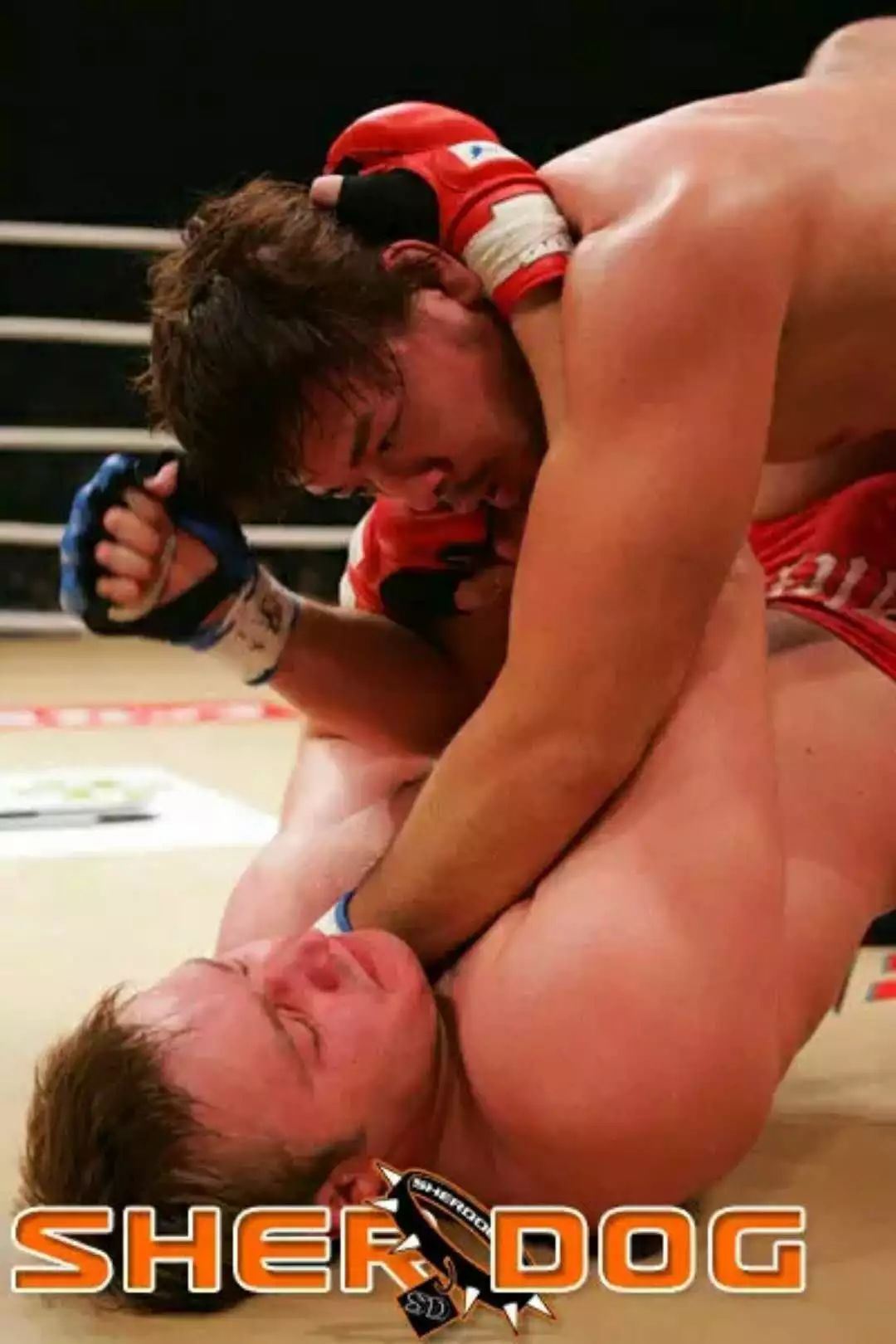 世界最强wwe布洛克,wwe布洛克输得最彻底的一次