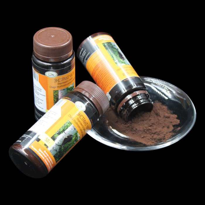 桦树茸是什么菌,桦树茸到底有用吗