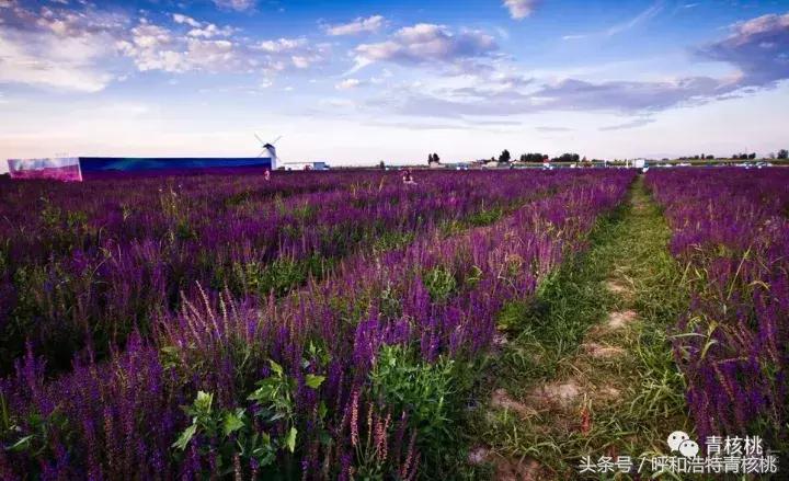 大家好这是我的家英文,大家好这是我的家图片卡通