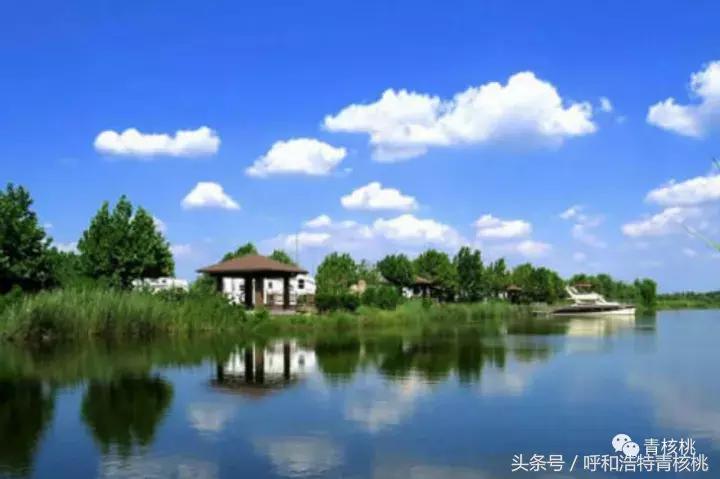 大家好这是我的家英文,大家好这是我的家图片卡通