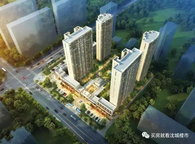 金地采访,金地访谈