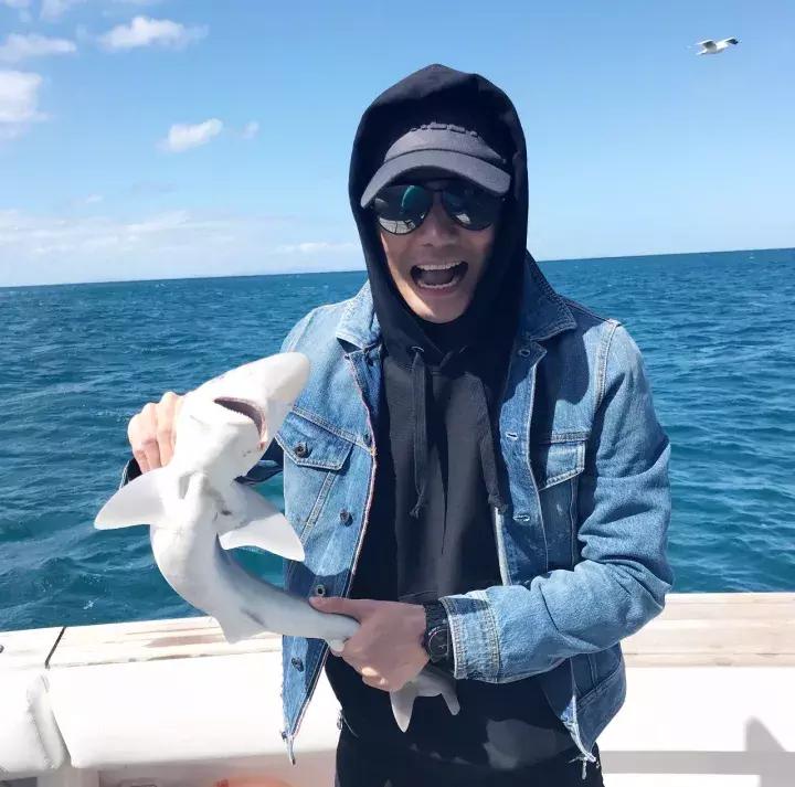 王凯、韩庚、邓紫棋、谢霆锋……明星最近为什么都去新西兰？