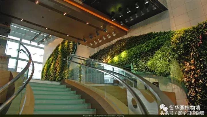 他曾说过：每一面植物墙都是一个花园……