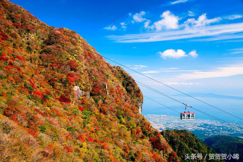 游轮旅行日本攻略,坐游轮去日本大概需要多少钱