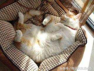 冬天拒绝臃肿瑜伽塑形,冬天拒绝身材臃肿