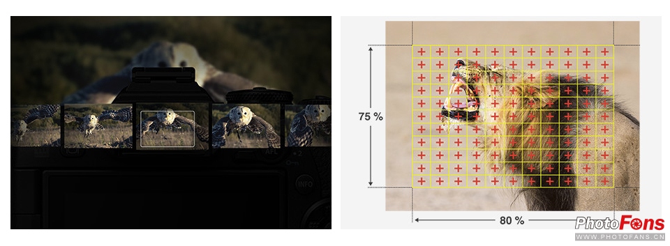 奥林巴斯e-m1ii深度评测,奥林巴斯e-m1x测评