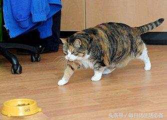 冬天拒绝臃肿瑜伽塑形,冬天拒绝身材臃肿