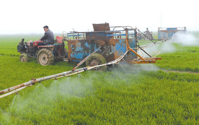 农村做什么生意赚钱创业项目,创业致富项目农村种什么赚钱