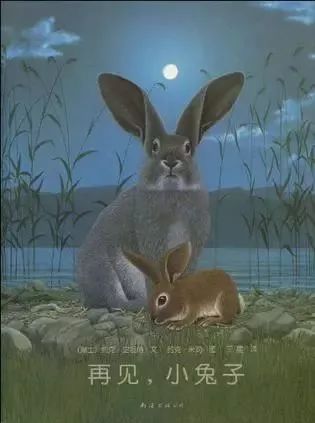 豆瓣9分经典书籍,豆瓣9分以上图书