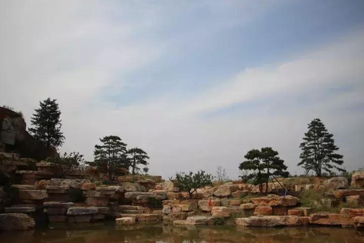 一样的乡愁,一样的乡愁原唱是谁